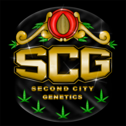 Second City Genetics Logo